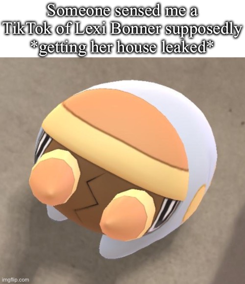 Lil Grubber | Someone sensed me a TikTok of Lexi Bonner supposedly *getting her house leaked* | image tagged in lil grubber | made w/ Imgflip meme maker