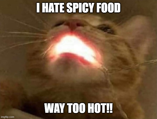 Spicy Food | I HATE SPICY FOOD; WAY TOO HOT!! | image tagged in firebreathingcat,spicy,food,food memes | made w/ Imgflip meme maker