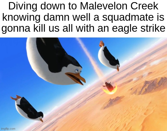 Penguins of Madagascar | Diving down to Malevelon Creek knowing damn well a squadmate is gonna kill us all with an eagle strike | image tagged in penguins of madagascar,helldivers 2 | made w/ Imgflip meme maker