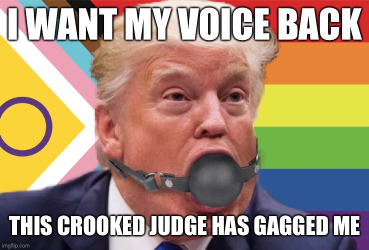 Gagged me | I WANT MY VOICE BACK; THIS CROOKED JUDGE HAS GAGGED ME | image tagged in donald trump,gag,trial,guilty,prison | made w/ Imgflip meme maker