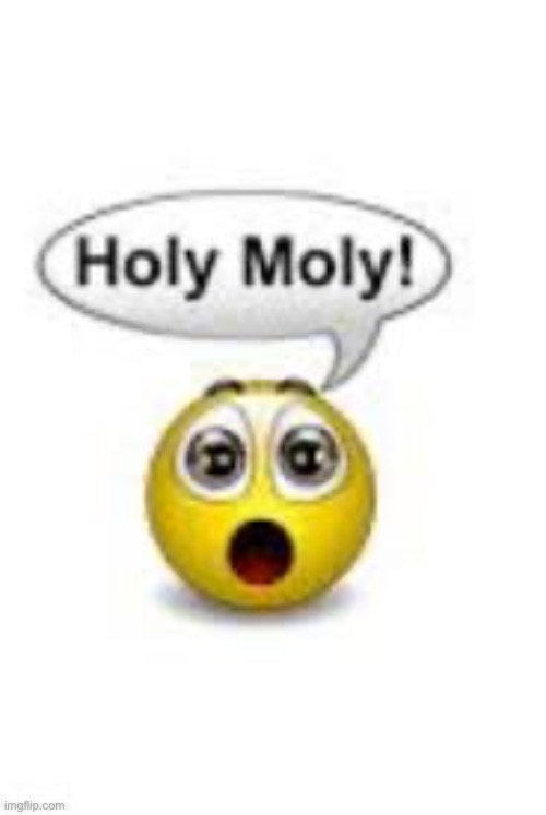 Holy Moly! | image tagged in holy moly | made w/ Imgflip meme maker