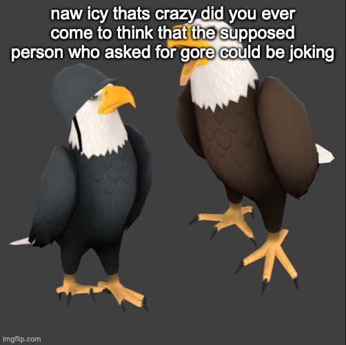 tf2 eagles | naw icy thats crazy did you ever come to think that the supposed person who asked for gore could be joking | image tagged in tf2 eagles | made w/ Imgflip meme maker