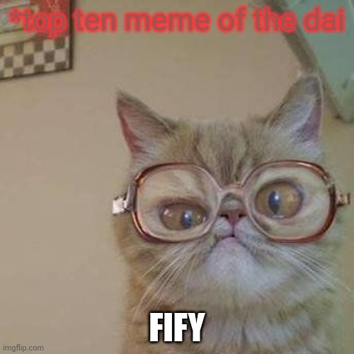 Funny Cat with Glasses | *top ten meme of the dai FIFY | image tagged in funny cat with glasses | made w/ Imgflip meme maker