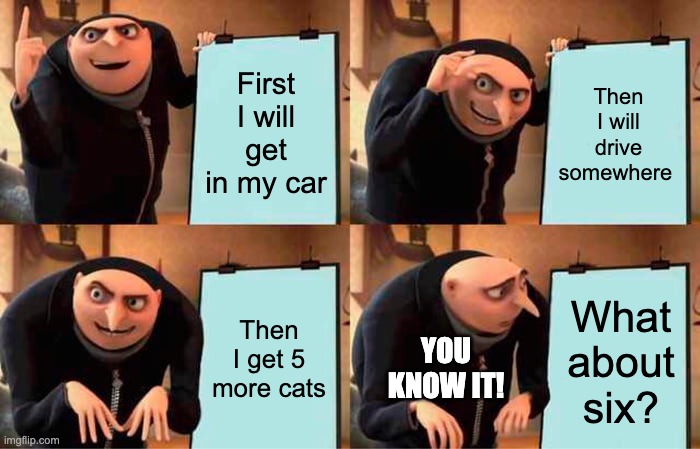 Oops I did it again | First I will get in my car; Then I will drive somewhere; Then I get 5 more cats; What about six? YOU KNOW IT! | image tagged in cats | made w/ Imgflip meme maker