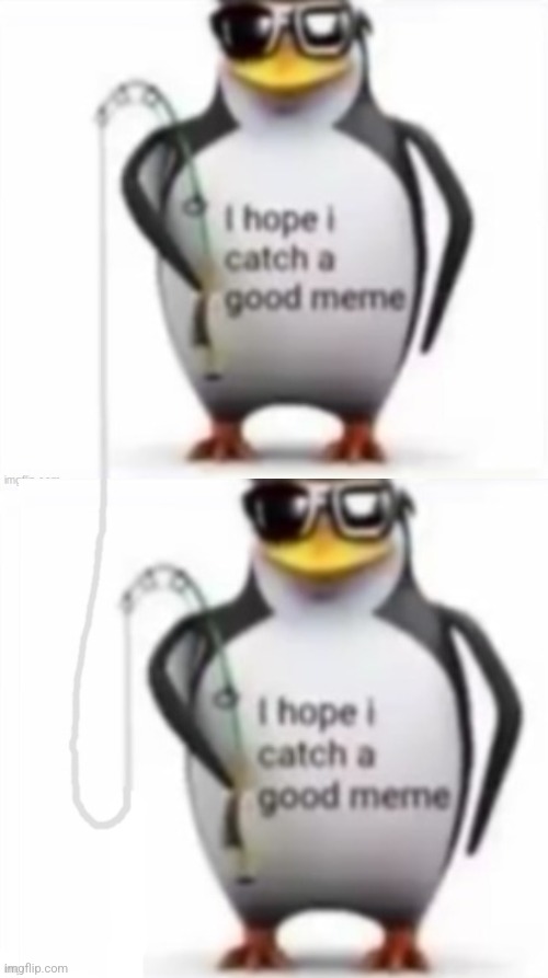 image tagged in i hope i catch a good meme,caught in the act,caught in 4k,subtle pickup liner,penguin gang,good memes | made w/ Imgflip meme maker