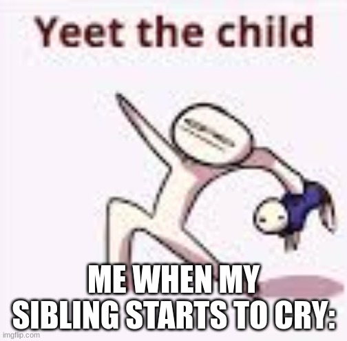 single yeet the child panel | ME WHEN MY SIBLING STARTS TO CRY: | image tagged in single yeet the child panel | made w/ Imgflip meme maker