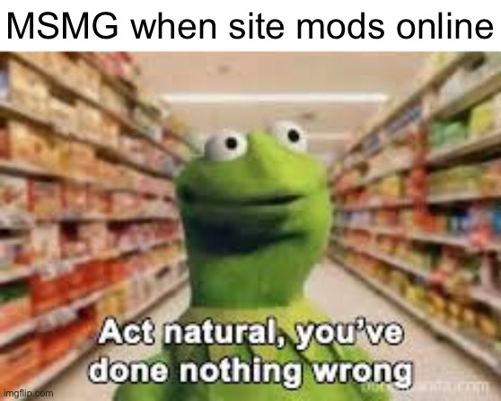 act natural, you've done nothing wrong | MSMG when site mods online | image tagged in act natural you've done nothing wrong | made w/ Imgflip meme maker
