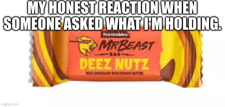 MrBeast Deez Nutz | MY HONEST REACTION WHEN SOMEONE ASKED WHAT I'M HOLDING. | image tagged in mrbeast,deez nutz | made w/ Imgflip meme maker
