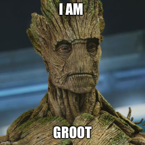I am Groot | I AM GROOT | image tagged in i am groot | made w/ Imgflip meme maker