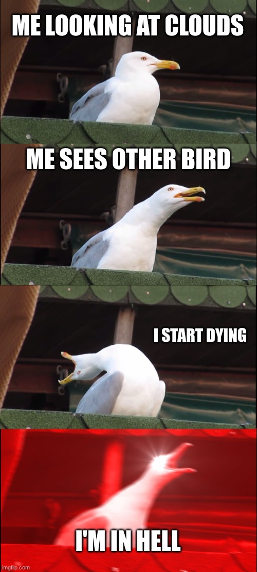 Inhaling Seagull Meme | ME LOOKING AT CLOUDS; ME SEES OTHER BIRD; I START DYING; I'M IN HELL | image tagged in memes,inhaling seagull | made w/ Imgflip meme maker