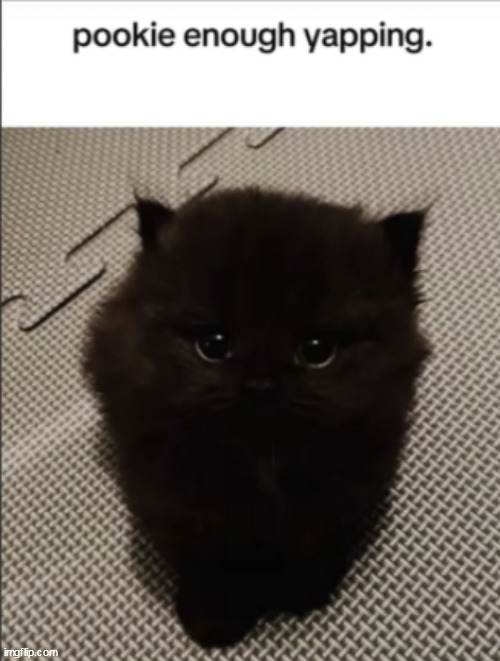 pookie enough yapping. get | image tagged in pookie enough yapping get | made w/ Imgflip meme maker