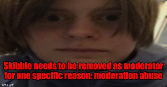 nah | Skibble needs to be removed as moderator for one specific reason: moderation abuse | image tagged in darthswede silly serious face | made w/ Imgflip meme maker