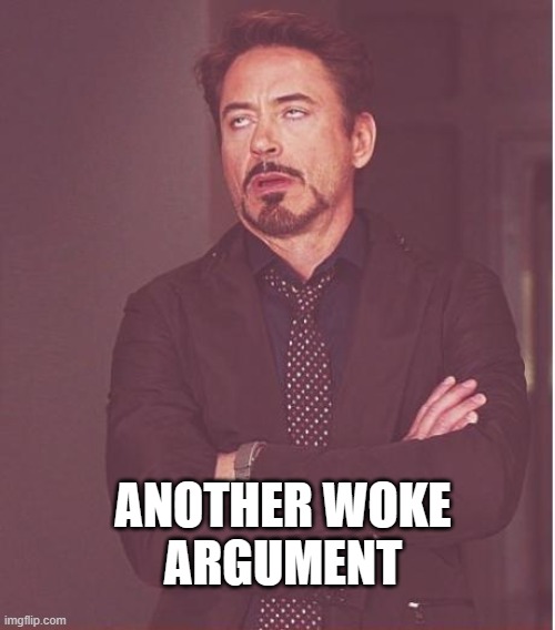 Face You Make Robert Downey Jr Meme | ANOTHER WOKE
ARGUMENT | image tagged in memes,face you make robert downey jr | made w/ Imgflip meme maker