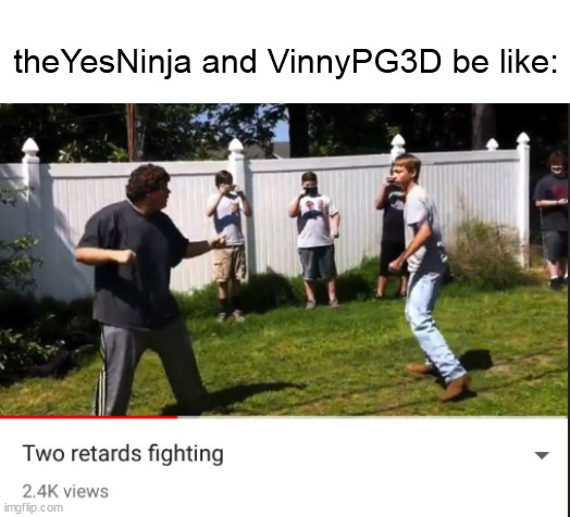 Two retards fighting | theYesNinja and VinnyPG3D be like: | image tagged in two retards fighting | made w/ Imgflip meme maker