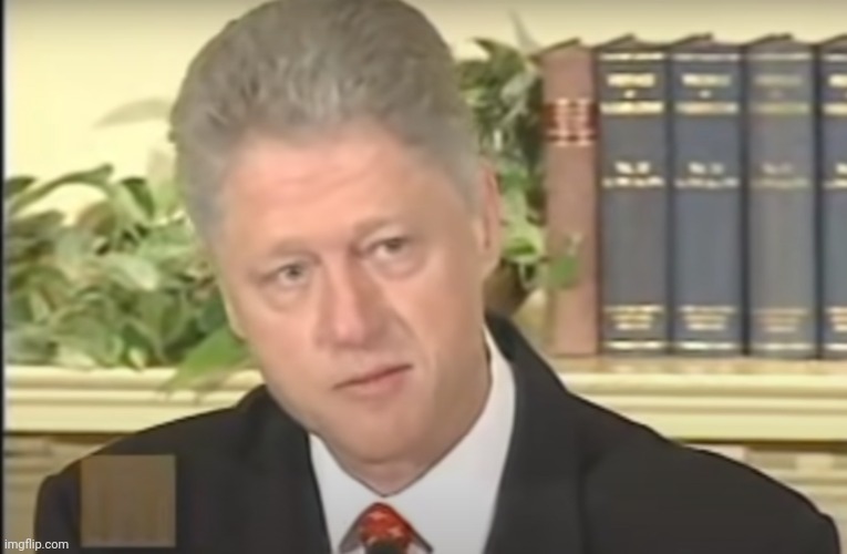 I did not have sexual relations with that woman | image tagged in i did not have sexual relations with that woman | made w/ Imgflip meme maker
