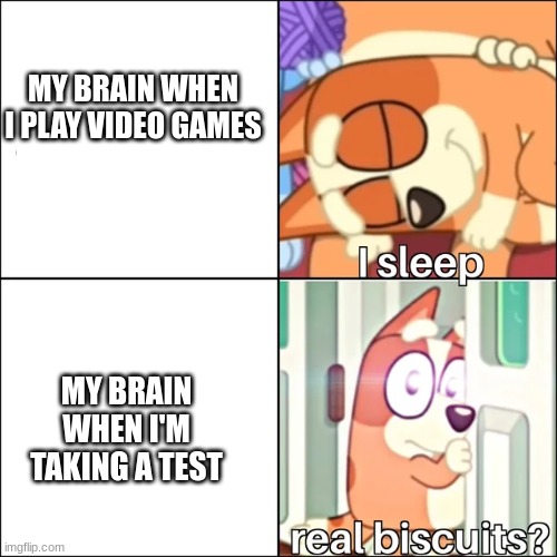 Real Biscuits? | MY BRAIN WHEN I PLAY VIDEO GAMES; MY BRAIN WHEN I'M TAKING A TEST | image tagged in real biscuits,bluey,memes | made w/ Imgflip meme maker