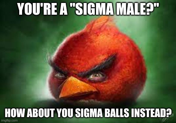 sigma balls | YOU'RE A "SIGMA MALE?"; HOW ABOUT YOU SIGMA BALLS INSTEAD? | image tagged in realistic red angry birds,gen alpha,shitpost,memes,funny,you've been poisoned by the tags | made w/ Imgflip meme maker