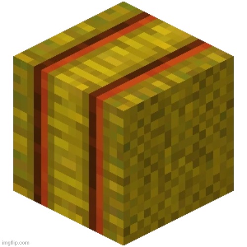 haybale | image tagged in haybale | made w/ Imgflip meme maker