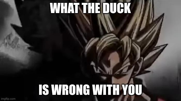 Goku Staring | WHAT THE DUCK IS WRONG WITH YOU | image tagged in goku staring | made w/ Imgflip meme maker