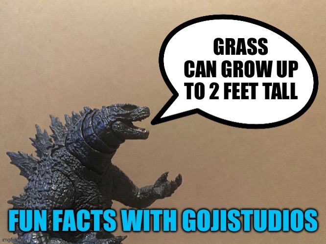 Yeah… | GRASS CAN GROW UP TO 2 FEET TALL | image tagged in fun facts with gojistudios | made w/ Imgflip meme maker