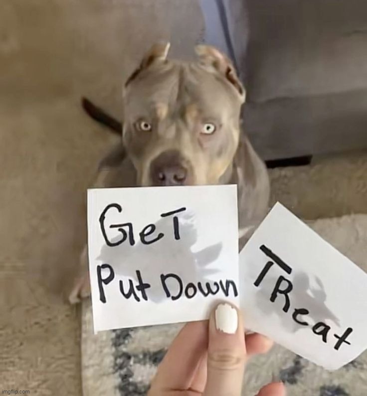 gamble | made w/ Imgflip meme maker