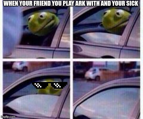 that friend you play ark with | WHEN YOUR FRIEND YOU PLAY ARK WITH AND YOUR SICK | image tagged in kermit rolls up window | made w/ Imgflip meme maker