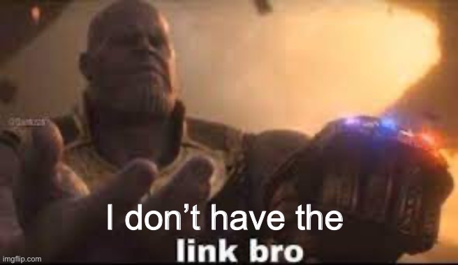 link bro | I don’t have the | image tagged in link bro | made w/ Imgflip meme maker