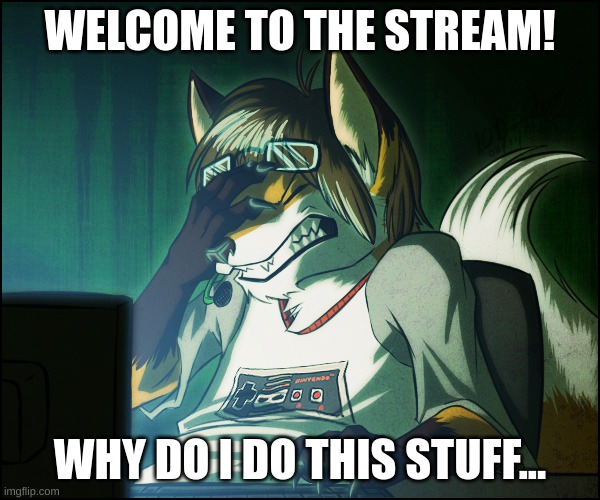 welcome dudes! | WELCOME TO THE STREAM! WHY DO I DO THIS STUFF... | image tagged in furry facepalm | made w/ Imgflip meme maker