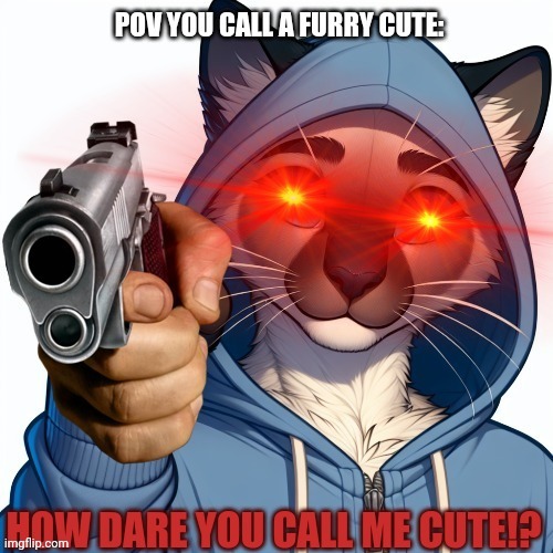 Never call a furry cute to there face. | image tagged in gun,furry | made w/ Imgflip meme maker