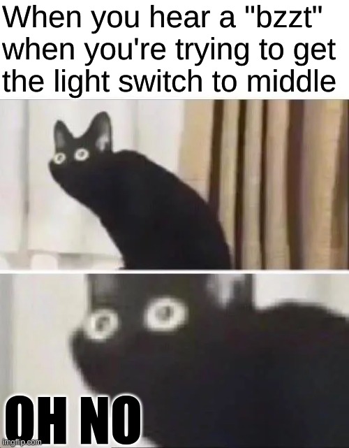 This was truly an "oh no" moment | When you hear a "bzzt"
when you're trying to get
the light switch to middle; OH NO | image tagged in oh no black cat,childhood,scary moments as kid,light switch,too much tags,so happy you had patience to read the tags | made w/ Imgflip meme maker
