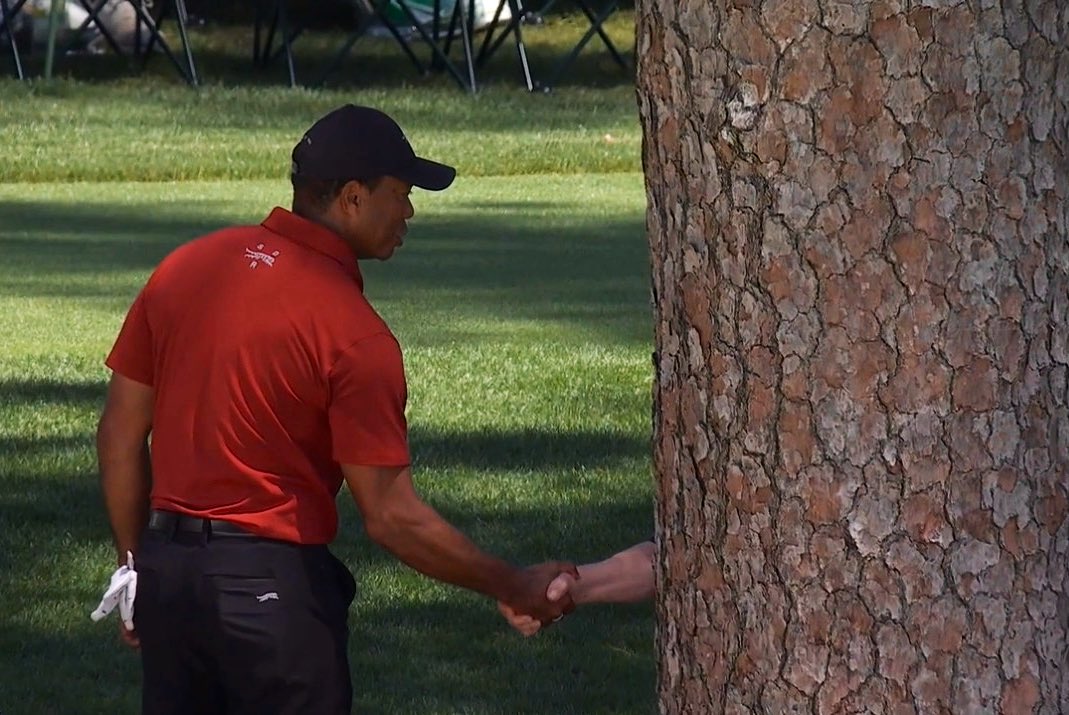 Tiger Woods Tree Blank Meme Template