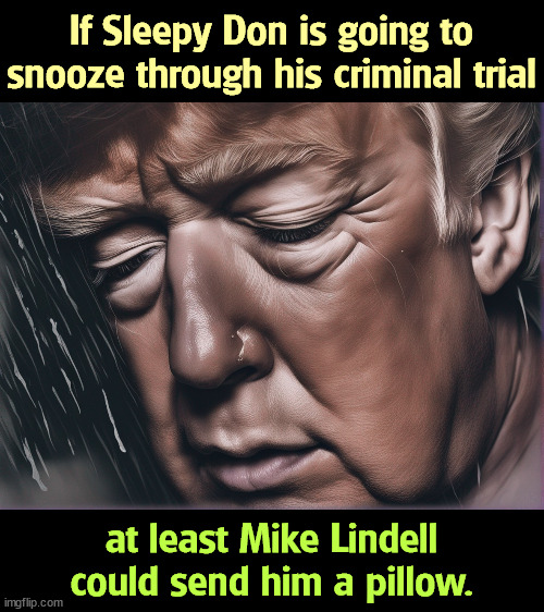 Unless, of course, Trump was sedated. | If Sleepy Don is going to snooze through his criminal trial; at least Mike Lindell could send him a pillow. | image tagged in trump,sleep,trial,pillow,drugs | made w/ Imgflip meme maker