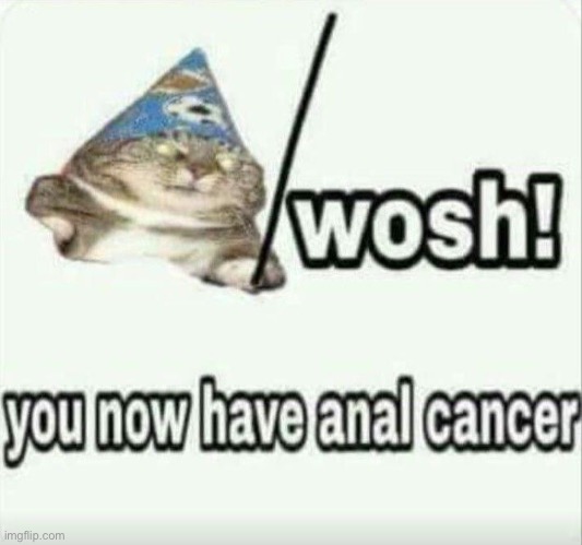 You now have anal cancer | image tagged in memes,funny,cats,i suck dick for money,front page plz | made w/ Imgflip meme maker