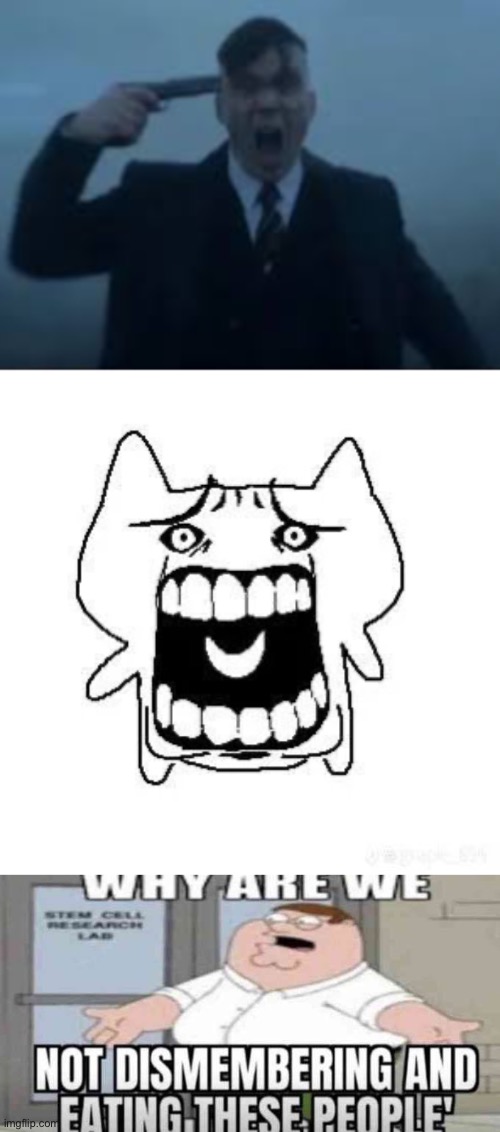 image tagged in cillian murphy kms,wtf,why are we not eating these people | made w/ Imgflip meme maker