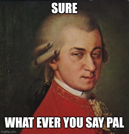 Mozart Not Sure Meme | SURE WHAT EVER YOU SAY PAL | image tagged in memes,mozart not sure | made w/ Imgflip meme maker