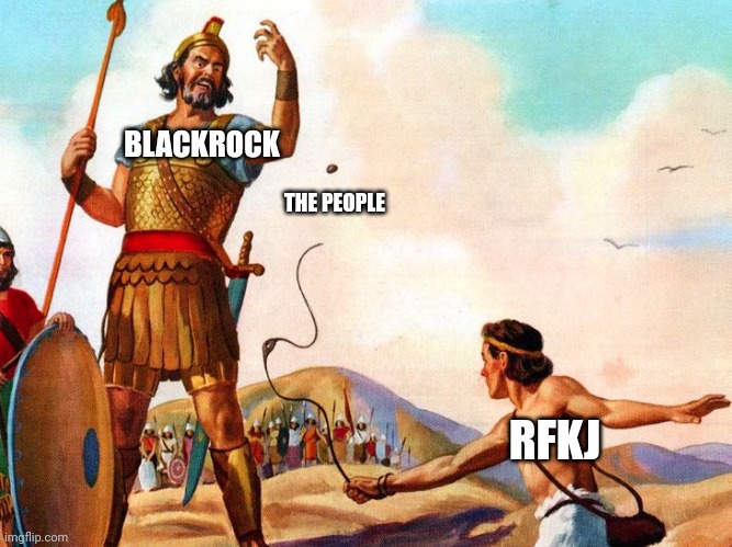 The people | BLACKROCK; THE PEOPLE; RFKJ | image tagged in david and goliath | made w/ Imgflip meme maker
