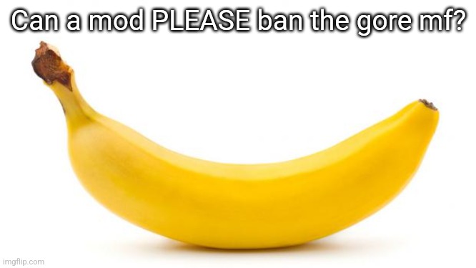 Banana | Can a mod PLEASE ban the gore mf? | image tagged in banana | made w/ Imgflip meme maker