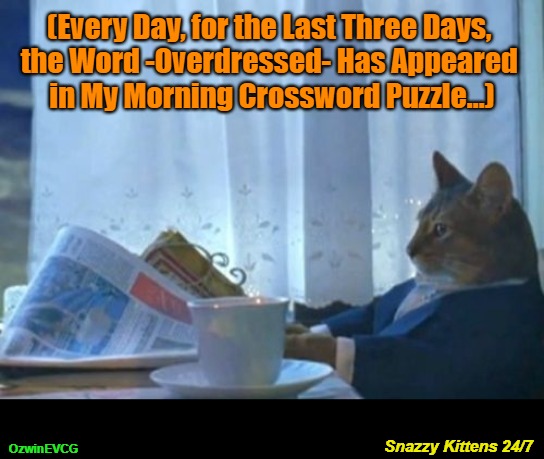 Snazzy Kittens 24/7 | (Every Day, for the Last Three Days, 

the Word -Overdressed- Has Appeared 

in My Morning Crossword Puzzle...); OzwinEVCG; Snazzy Kittens 24/7 | image tagged in memes,i should buy a boat cat,silly,cats,puzzles,kittens | made w/ Imgflip meme maker