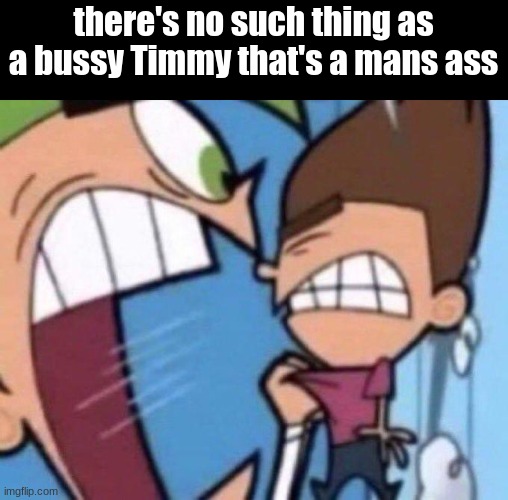 Cosmo yelling at timmy | there's no such thing as a bussy Timmy that's a mans ass | image tagged in cosmo yelling at timmy | made w/ Imgflip meme maker