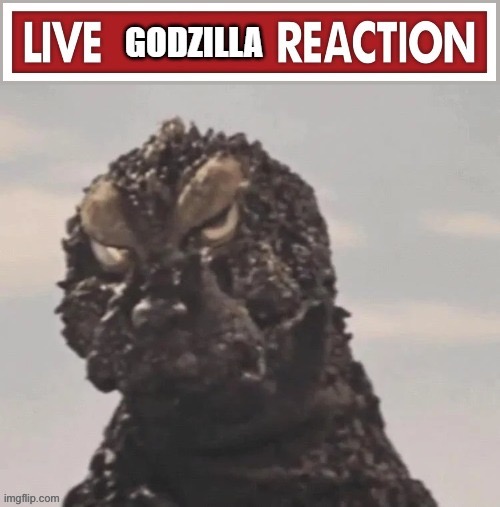 Live Godzilla Reaction | image tagged in live godzilla reaction | made w/ Imgflip meme maker