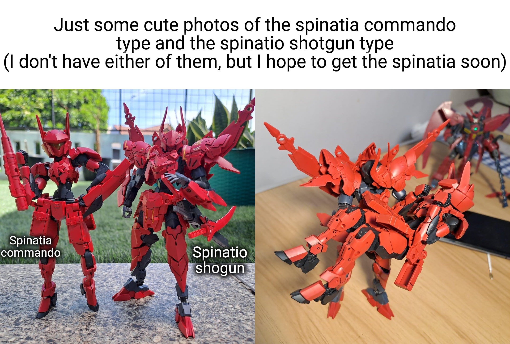Too bad the spinatio shogun type is P-bandai | Just some cute photos of the spinatia commando type and the spinatio shotgun type
(I don't have either of them, but I hope to get the spinatia soon); Spinatia commando; Spinatio shogun | made w/ Imgflip meme maker