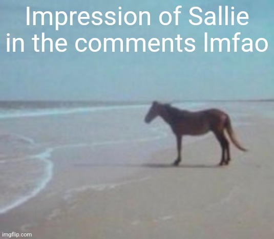 Horse on Beach Man | Impression of Sallie in the comments lmfao | image tagged in horse on beach man | made w/ Imgflip meme maker