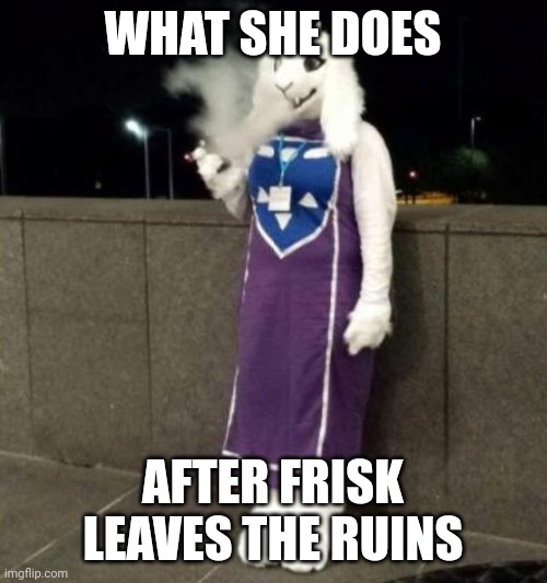 Yep, pretty accurate | WHAT SHE DOES; AFTER FRISK LEAVES THE RUINS | image tagged in undertale - toriel,memes | made w/ Imgflip meme maker
