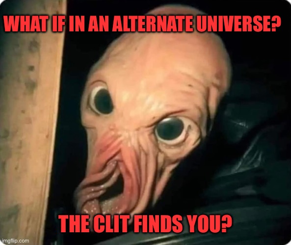 Alternate clitoris | WHAT IF IN AN ALTERNATE UNIVERSE? THE CLIT FINDS YOU? | image tagged in clit,clitoris,alternate universe | made w/ Imgflip meme maker