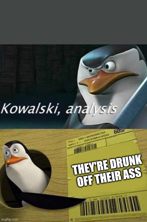 Kowalski Analysis | THEY'RE DRUNK OFF THEIR ASS | image tagged in kowalski analysis | made w/ Imgflip meme maker