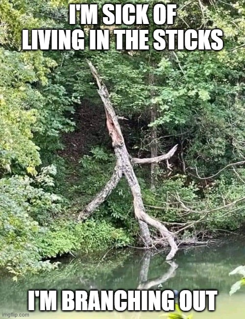 branching out | I'M SICK OF LIVING IN THE STICKS; I'M BRANCHING OUT | image tagged in puns | made w/ Imgflip meme maker