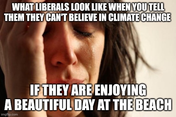 Why can't we tax THEM for enjoying nice weather? | WHAT LIBERALS LOOK LIKE WHEN YOU TELL THEM THEY CAN'T BELIEVE IN CLIMATE CHANGE; IF THEY ARE ENJOYING A BEAUTIFUL DAY AT THE BEACH | image tagged in memes,first world problems | made w/ Imgflip meme maker