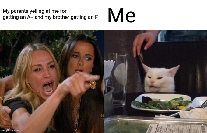 Woman Yelling At Cat | My parents yelling at me for getting an A+ and my brother getting an F; Me | image tagged in memes,woman yelling at cat | made w/ Imgflip meme maker