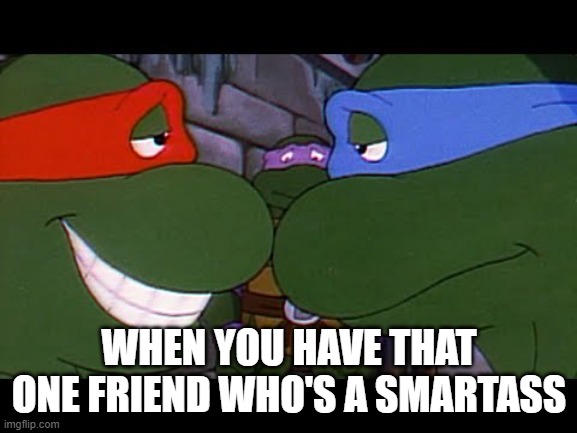 Leo and Raph | WHEN YOU HAVE THAT ONE FRIEND WHO'S A SMARTASS | image tagged in leo and raph | made w/ Imgflip meme maker