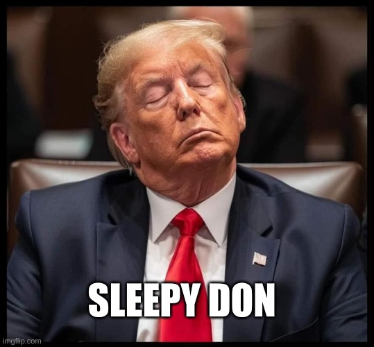 Sleepy Don | SLEEPY DON | image tagged in sleepy don,don the con,trumps treason,trump on trial,trump crime family | made w/ Imgflip meme maker